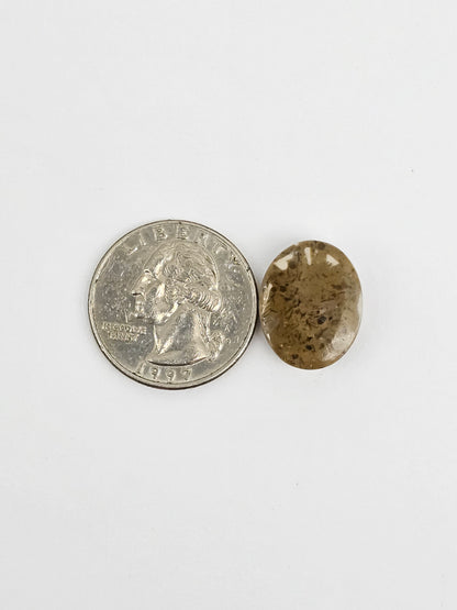 Sea Urchin (Sand Dollar) Fossil Cabochon – Mexican Echinoid