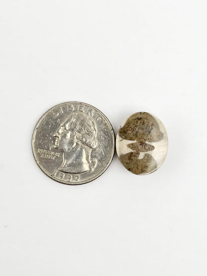 Sea Urchin (Sand Dollar) Fossil Cabochon – Mexican Echinoid