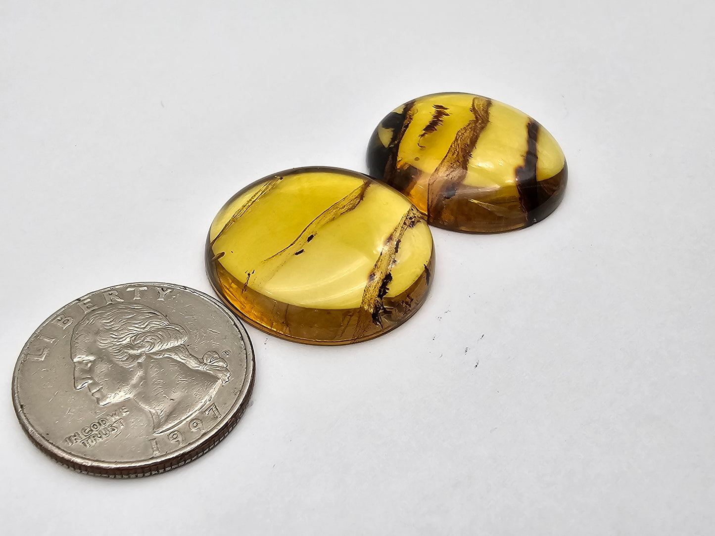 Amber authentic cabochon pair large