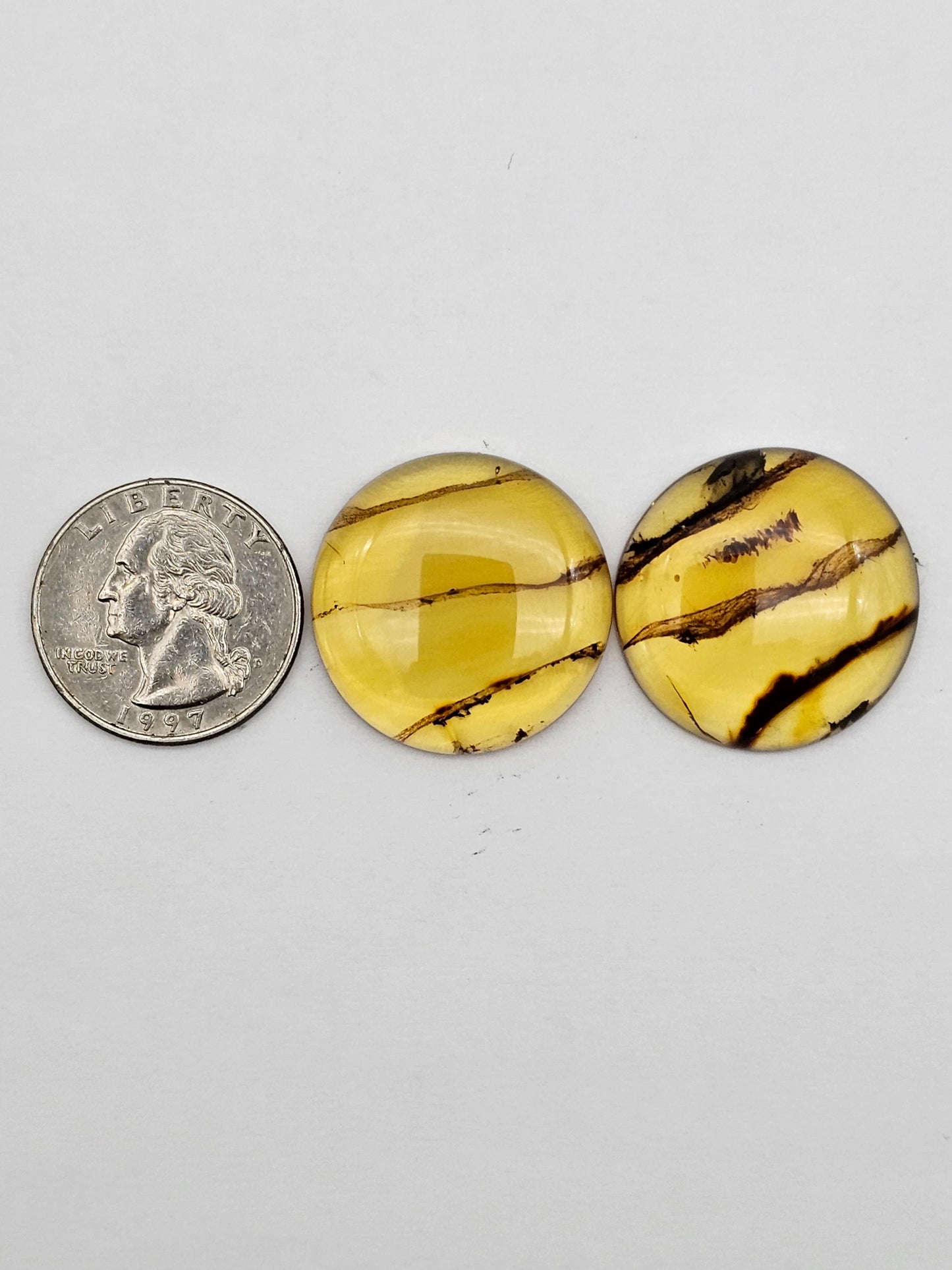 Amber authentic cabochon pair large