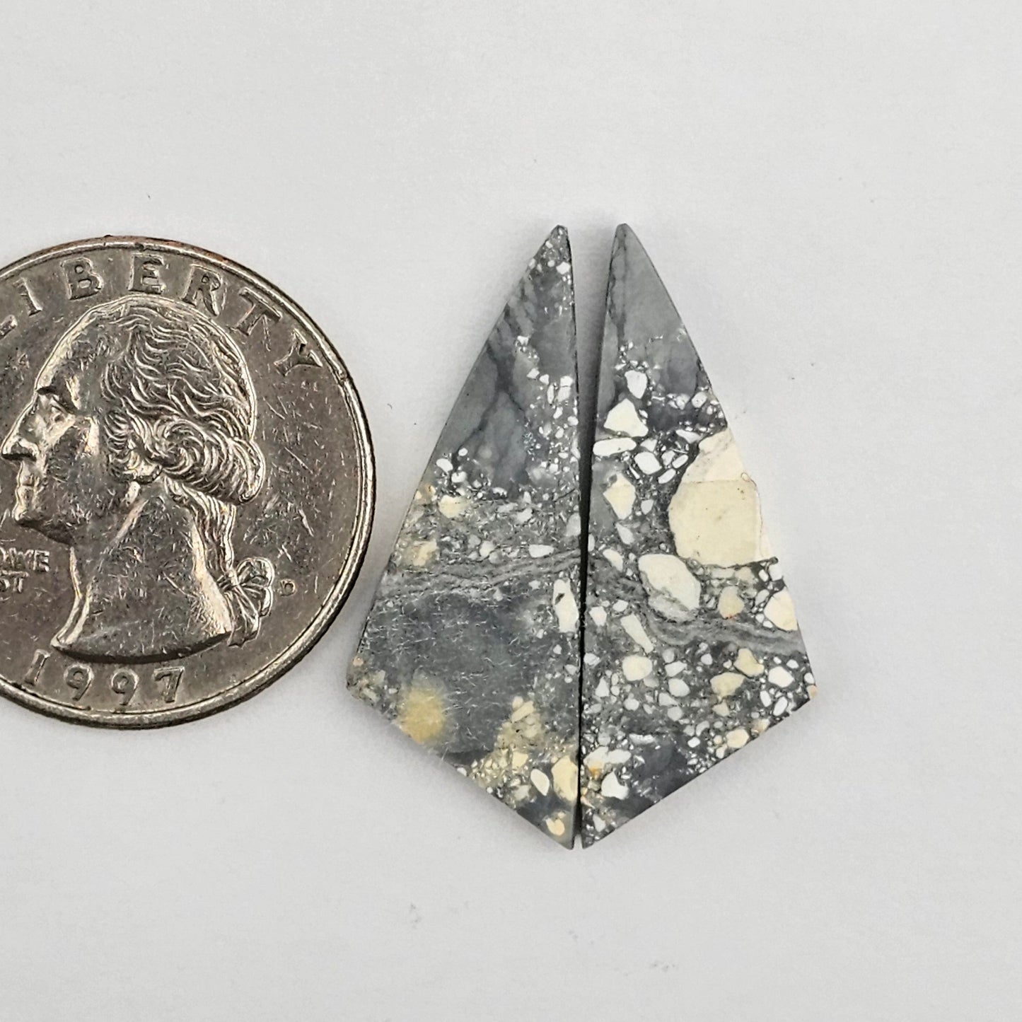 Maligano Jasper cabochon pair