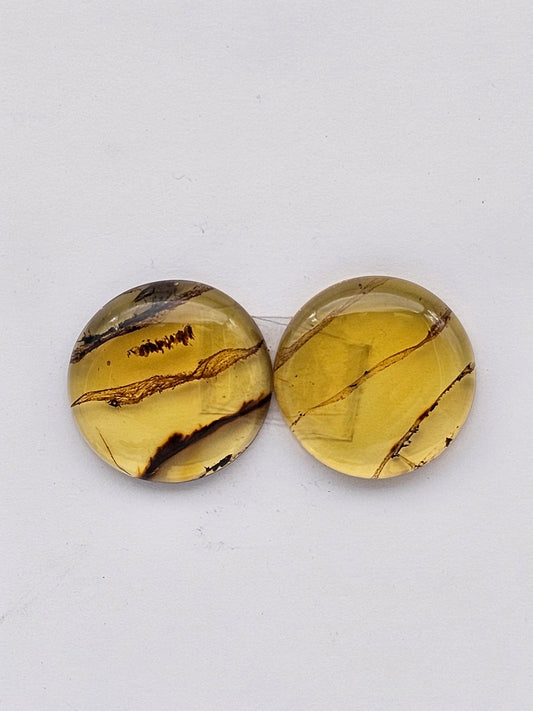 Amber authentic cabochon pair large