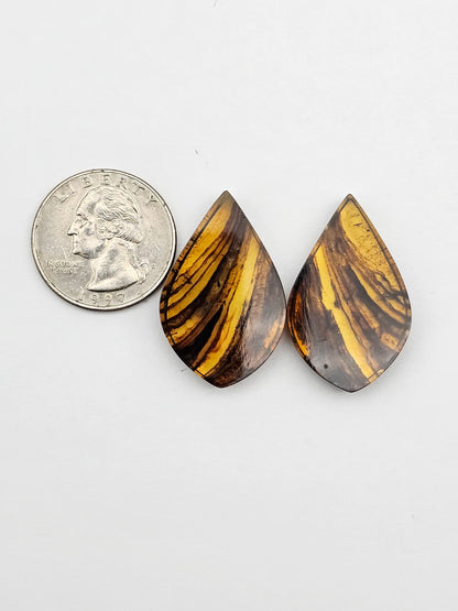 Amber authentic cabochon pair large
