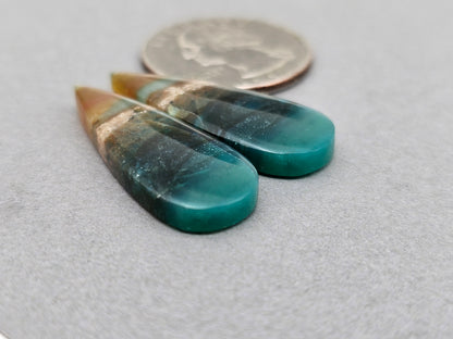Blue opalized petrified wood Cabochon Pair