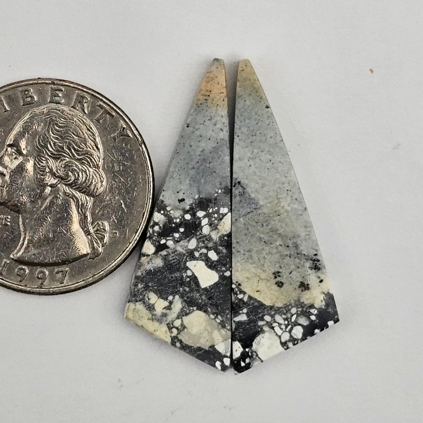 Maligano Jasper cabochon pair