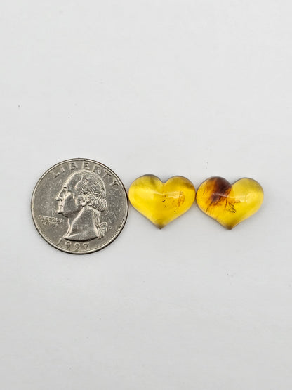 Amber authentic heart cabochon pair large