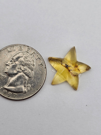 Amber authentic star cabochon large