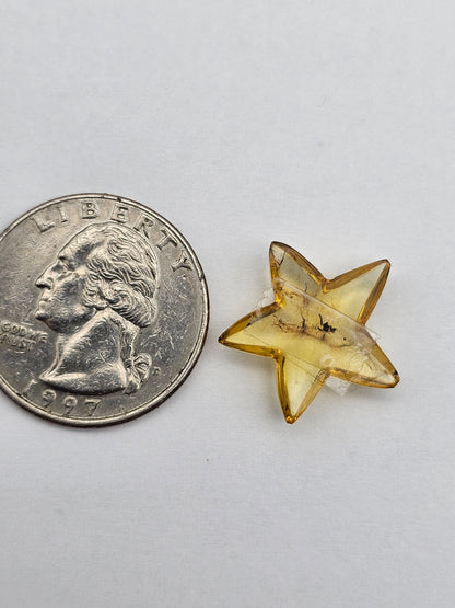 Amber authentic star cabochon large