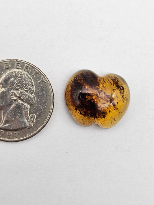 Amber authentic cabochon large