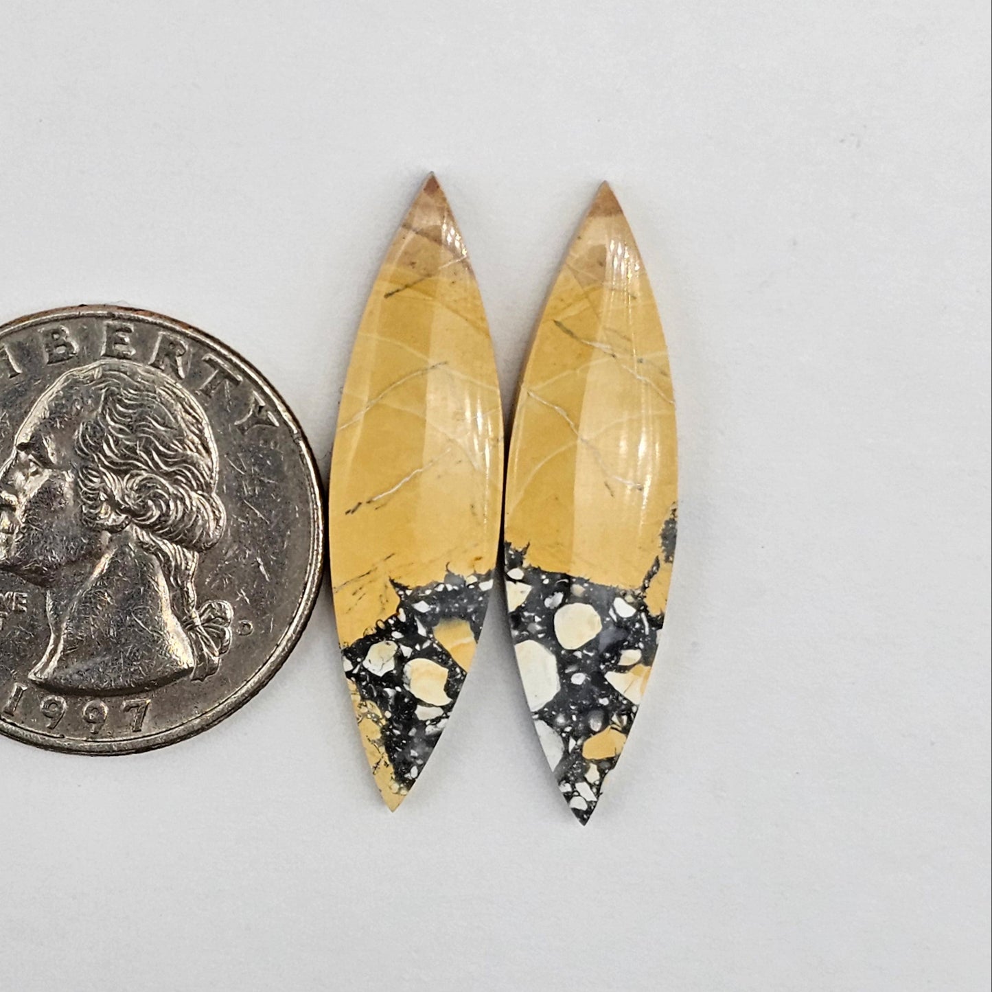 Maligano Jasper cabochon pair