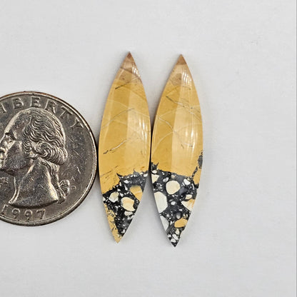 Maligano Jasper cabochon pair