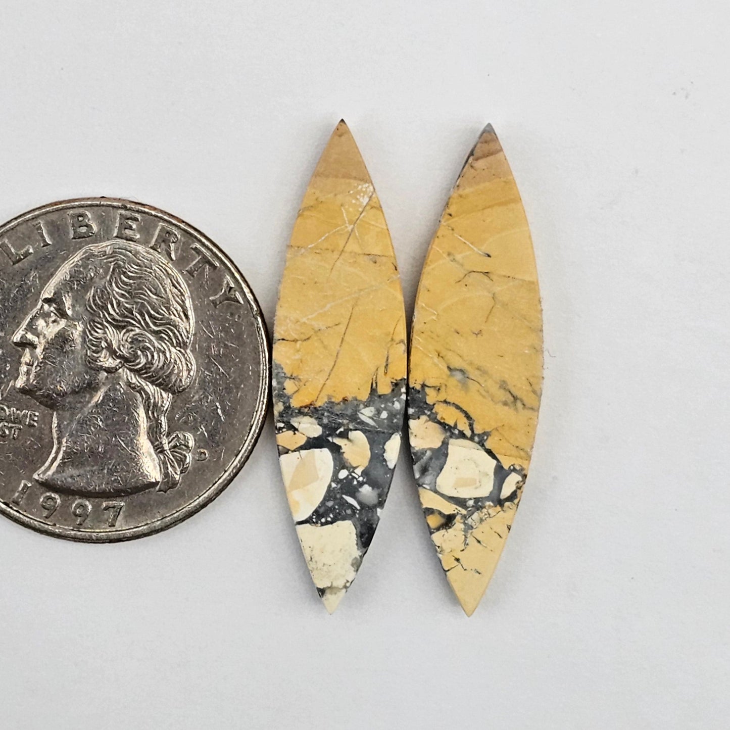 Maligano Jasper cabochon pair