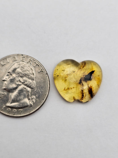 Amber authentic cabochon large