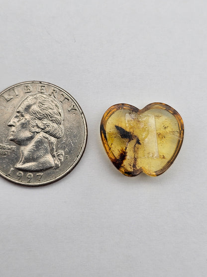Amber authentic cabochon large