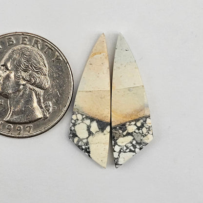 Maligano Jasper cabochon pair