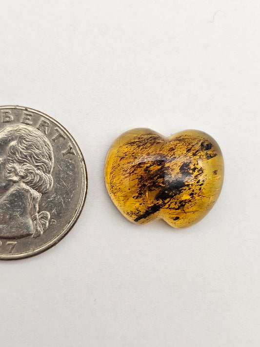 Amber authentic cabochon large