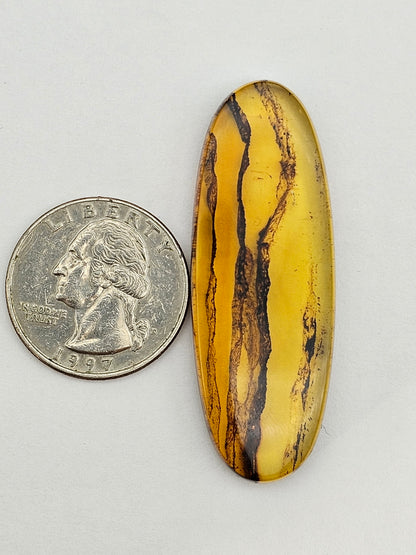 Amber authentic cabochon large