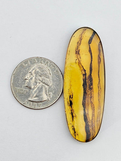 Amber authentic cabochon large