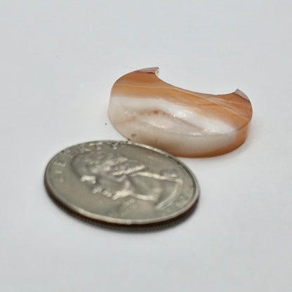 Carnelian Moon Agate Cabochon