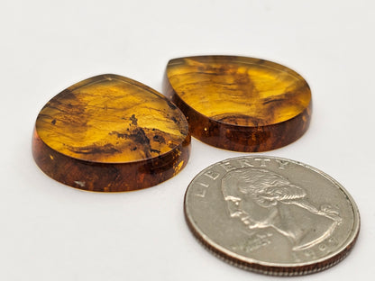 Amber authentic cabochon pair large