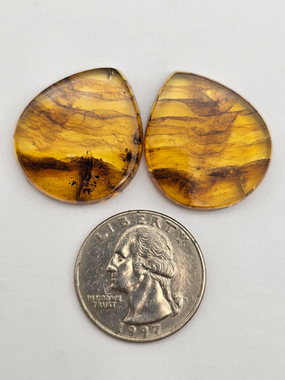 Amber authentic cabochon pair large