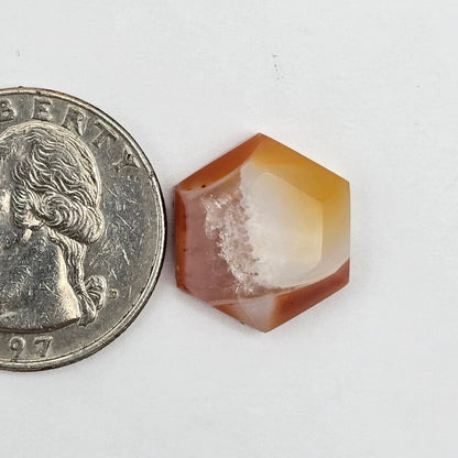 Carnelian Agate Cabochon