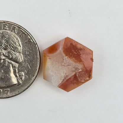 Carnelian Agate Cabochon