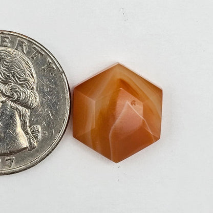 Carnelian Agate Cabochon