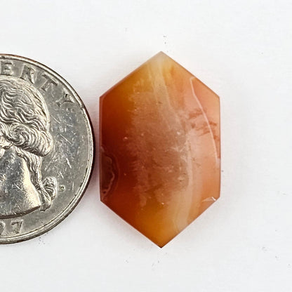 Carnelian Agate Cabochon