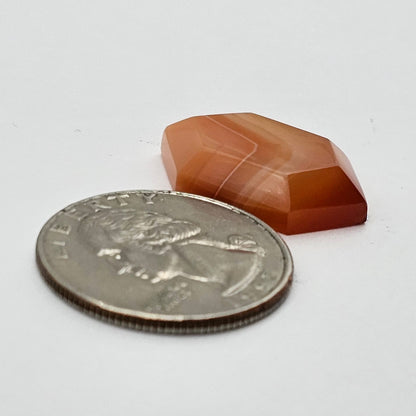 Carnelian Agate Cabochon