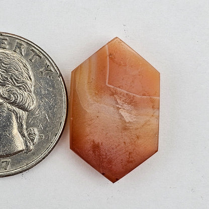 Carnelian Agate Cabochon