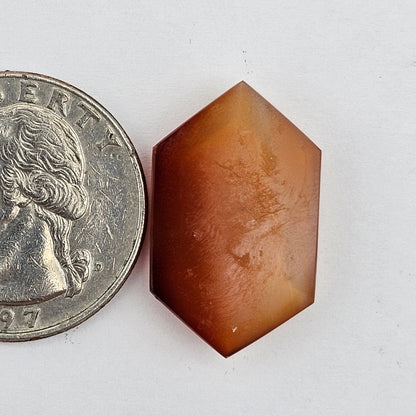 Carnelian Agate Cabochon