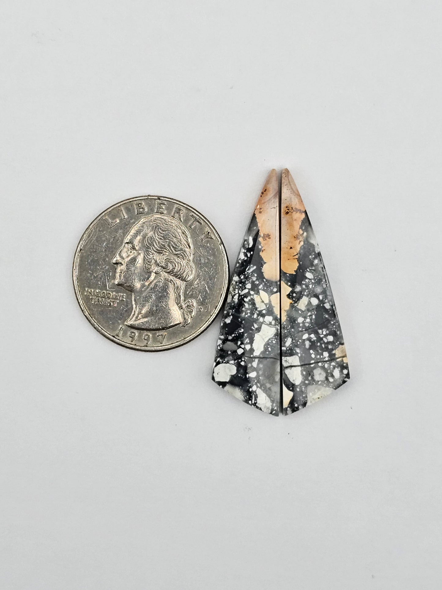 Maligano Jasper cabochon pair