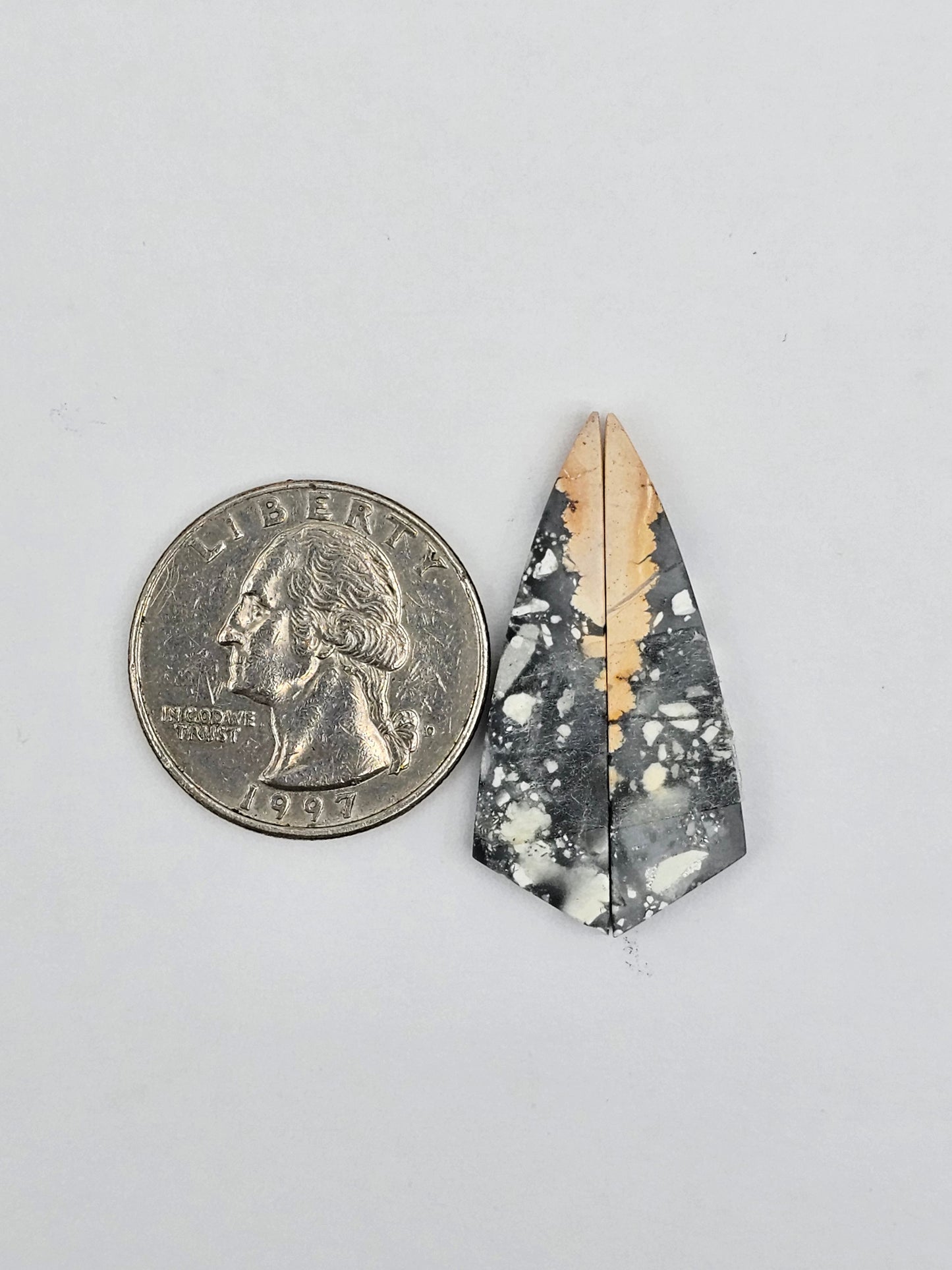 Maligano Jasper cabochon pair