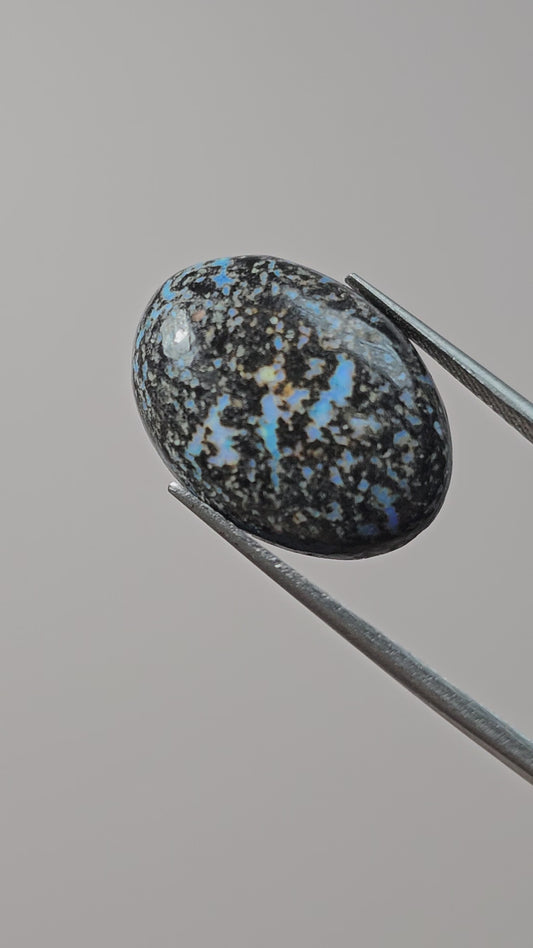 Rare Mexican Leopard Opal Cabochon