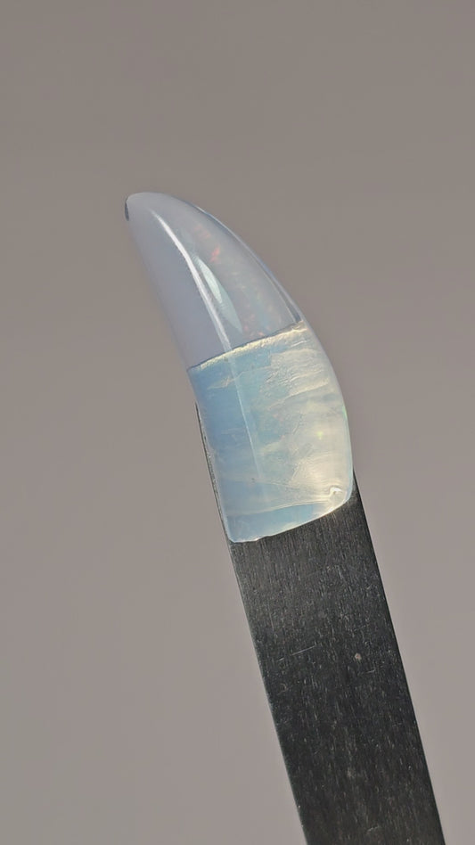 Mexican Cantera Opal Fang Cabochon