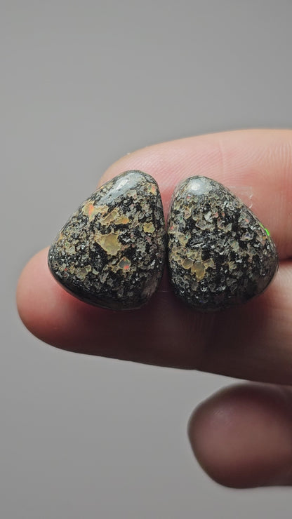 Rare Mexican Leopard Opal Cabochon Pair