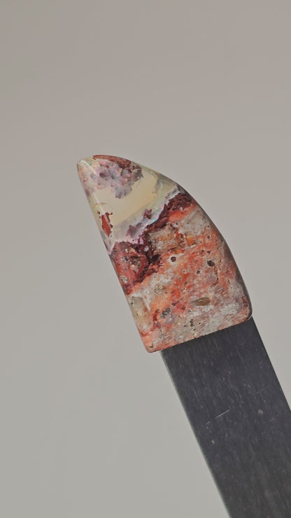 Mexican Cantera Opal Fang Cabochon