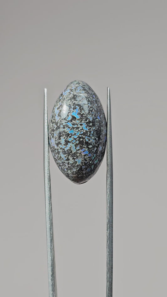 Rare Mexican Leopard Opal Cabochon