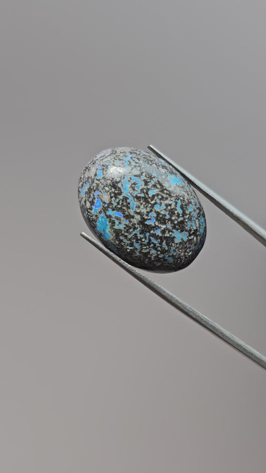 Rare Mexican Leopard Opal Cabochon