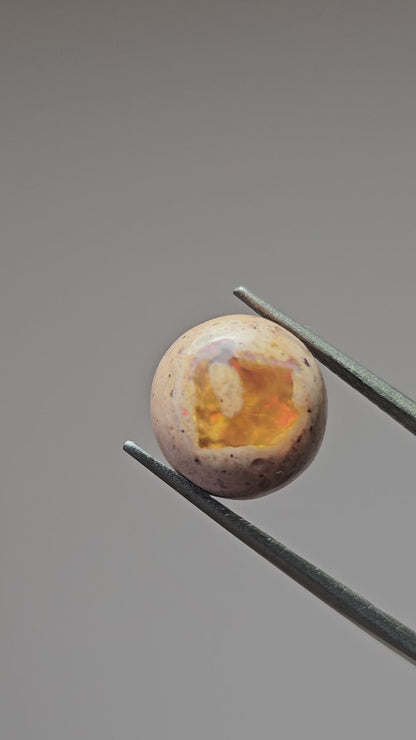 Mexican Cantera Opal Cabochon