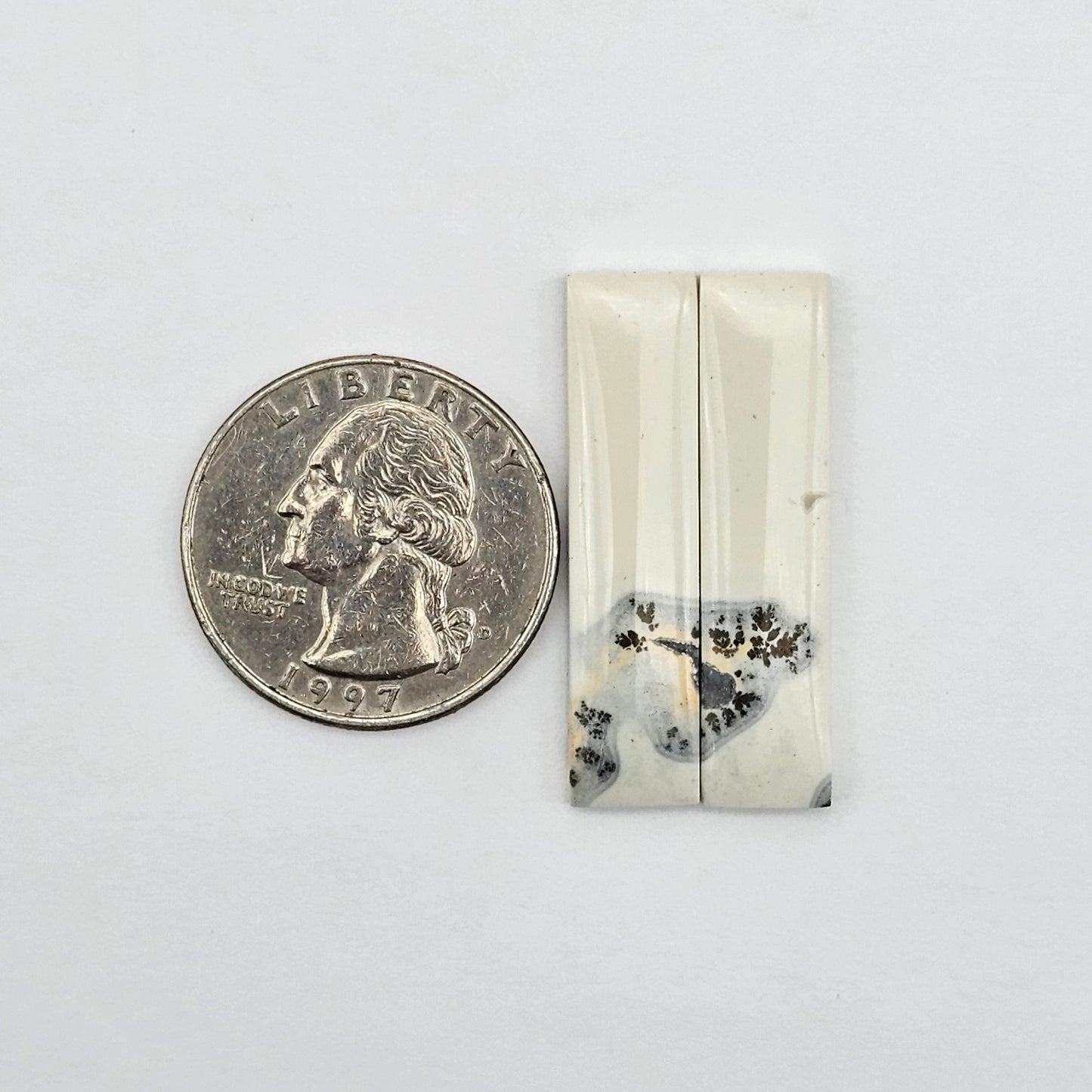 Maligano Jasper cabochon pair